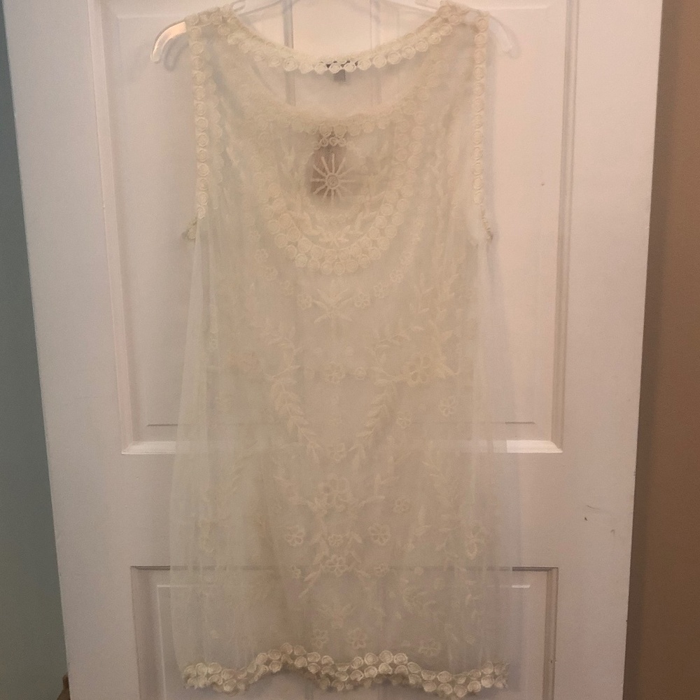 American Eagle Outfitters cream lace sheath overlay size L NWT - Picture 3 of 5